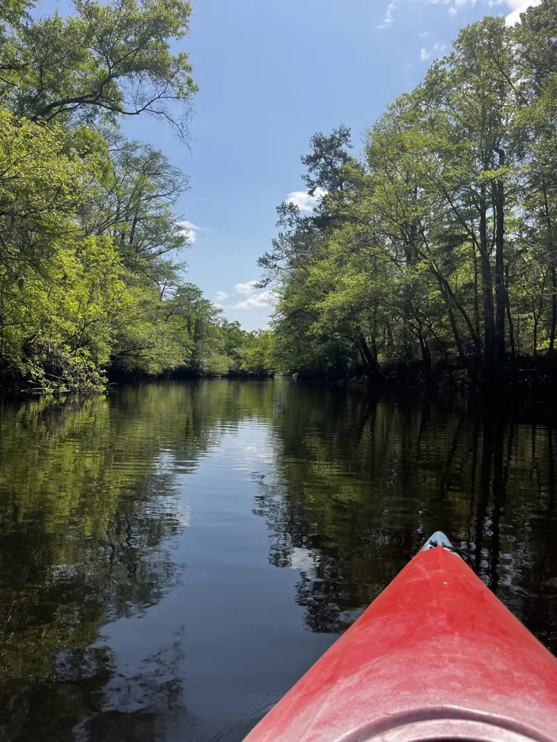 View from a red kayak paddling down a calm, tree-lined Lowcountry creek